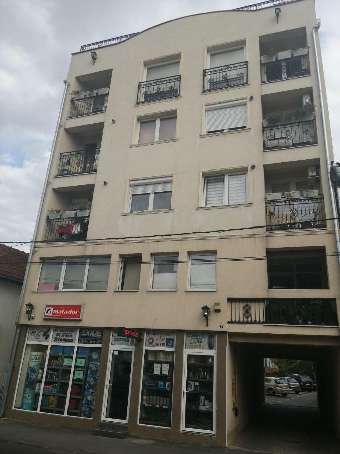 New And Nice Apartments Kragujevac Dış mekan fotoğraf